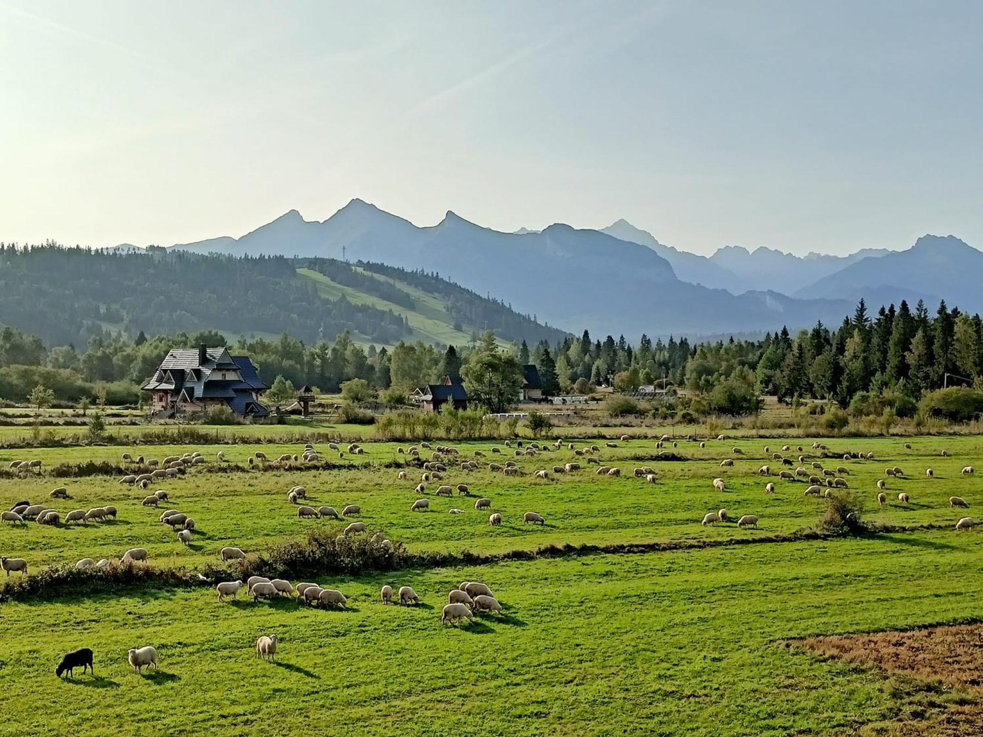 Domek Z Goralska Dusza Sleboda Jurgów Zewnętrze zdjęcie